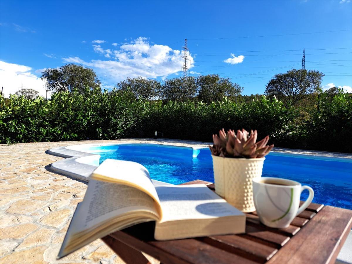 Modern Guest House Rak With Beautiful Pool Šibenik Exteriör bild